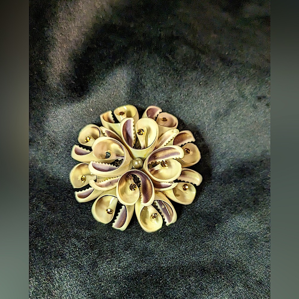 Vintage Shell Brooch